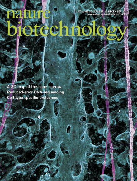 Highly accurate fluorogenic DNA sequencing with information theory–based error correction